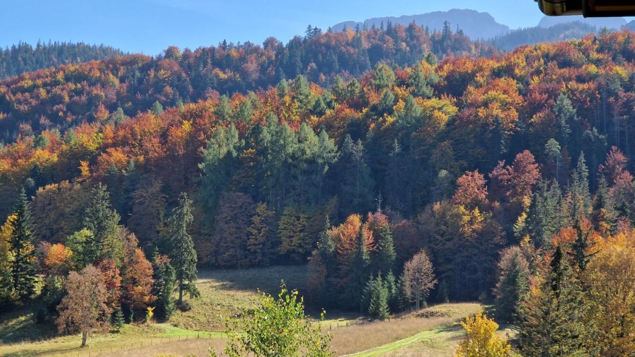 Ferienwohnung Akra Zakopane Exterior foto